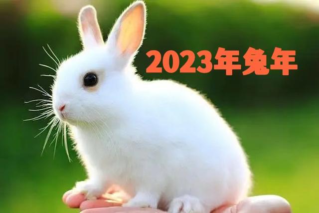 【兄辉喷涂】2023年，愿所有的美好都如约而至